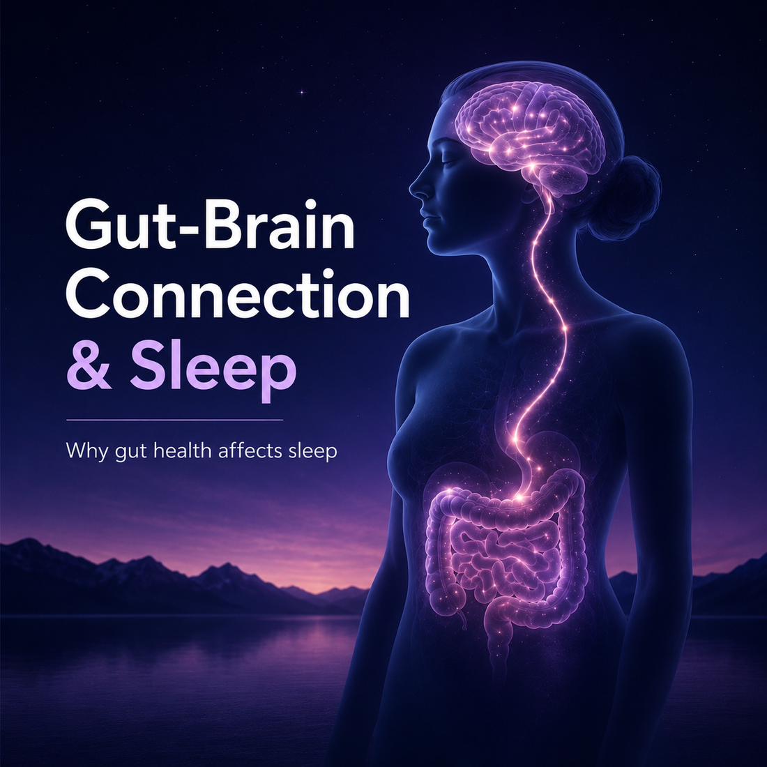 Gut Brain Sleep Connection